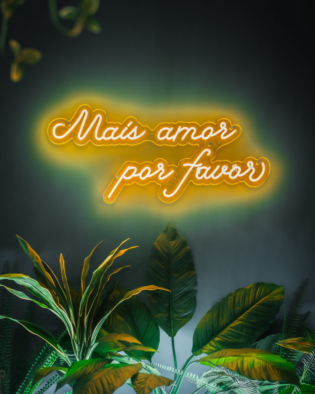 Mais amor por favor